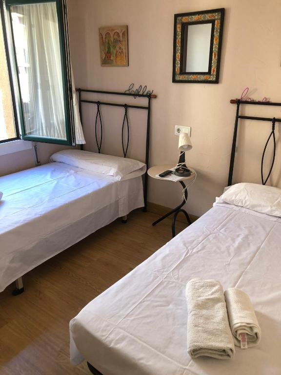 a bedroom with two beds and a mirror at Habitación Doble in Estella