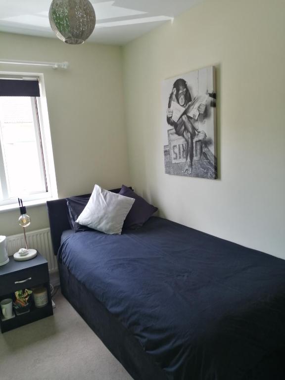 Un dormitorio con una cama azul y una foto en la pared en 59 Halstead - Gorgeous single bedroom with private bathroom, en Halstead