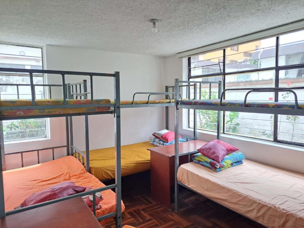 two bunk beds in a room with windows at Hotel Junio in Quito