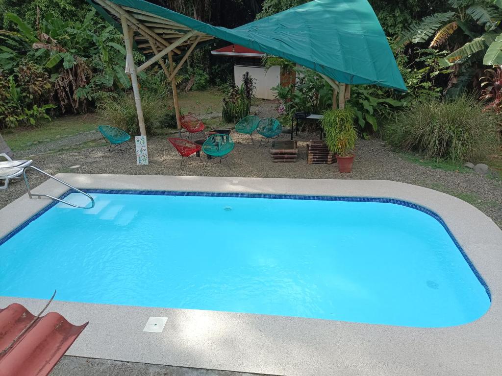 a blue swimming pool with chairs and an umbrella at Selva Linda Lodge vacation rentals in Quepos