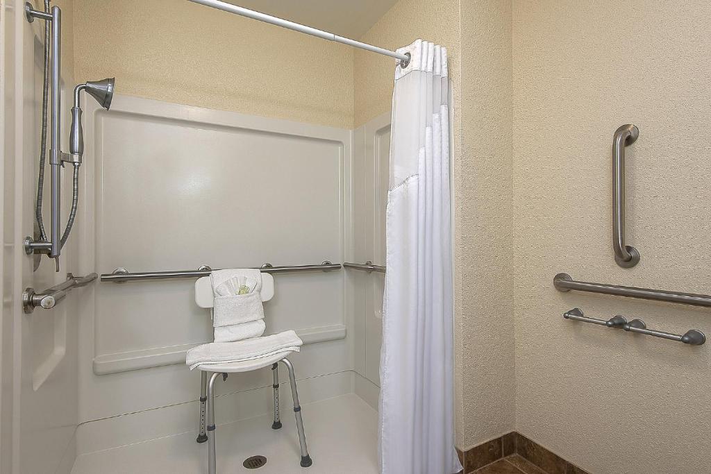 Holiday Inn Express and Suites Lafayette East, an IHG Hotel - 王室 - 移动性进入/淋浴间 - 非吸烟