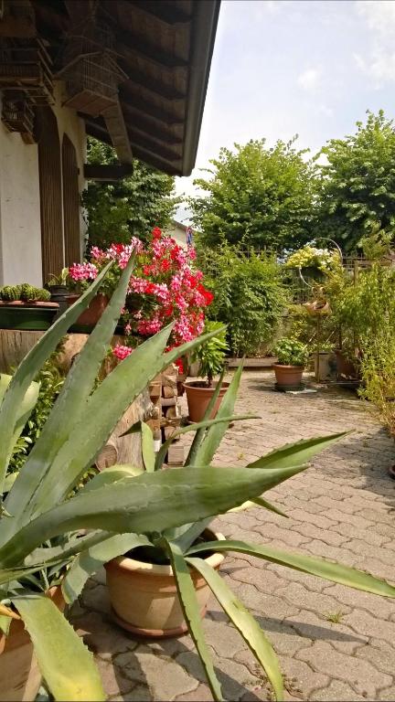 Zahrada ubytování Antico Albergo Sant'Antonio
