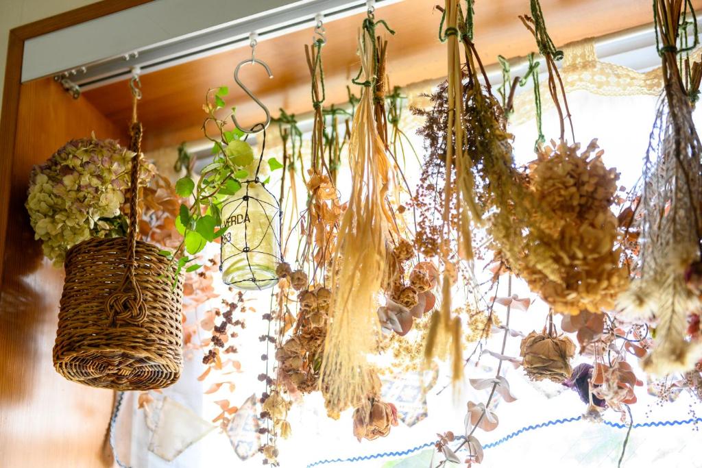 Un montón de plantas cuelgan de una pared en Fujiyoshi, en Nozawa Onsen