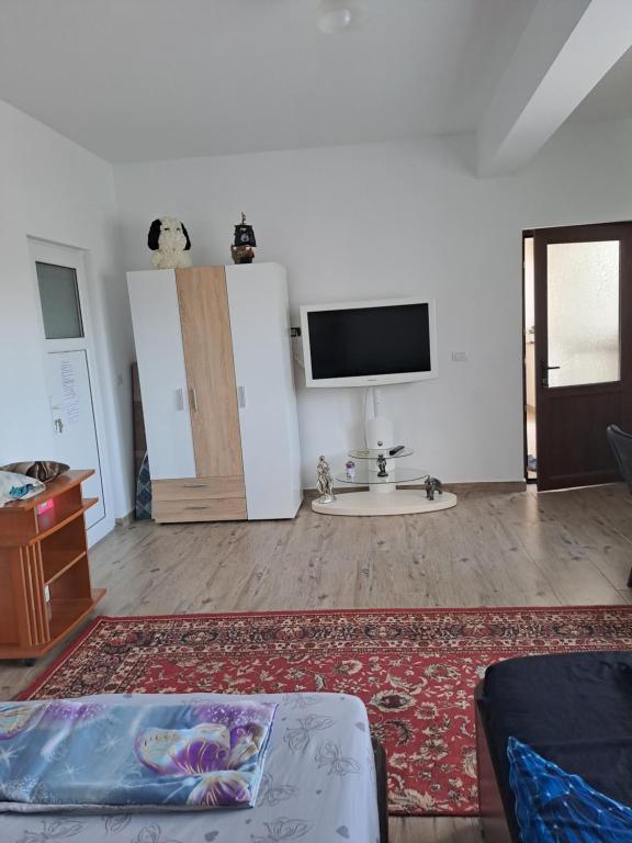Vila Bulgaru - One-Bedroom Apartment