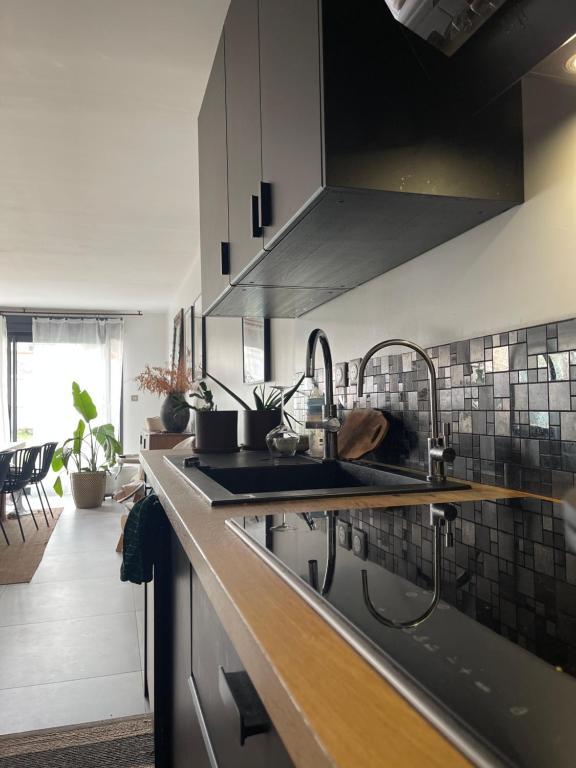 cocina con fregadero y encimera en Grande chambre privée 18 m2 dans maison proche Gare et Nancy Thermal, en Tomblaine
