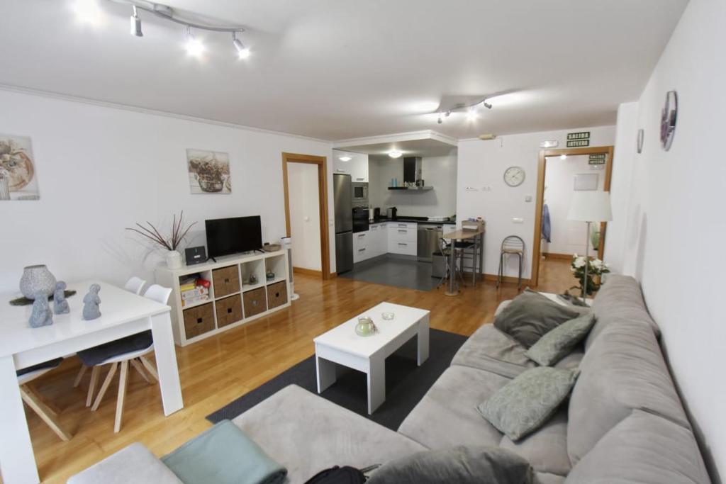 TV a/nebo společenská místnost v ubytování Apartamento Buruntzali
