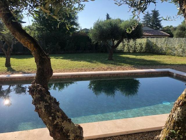 a swimming pool with a tree in a yard at L arbousiere in Sagriès