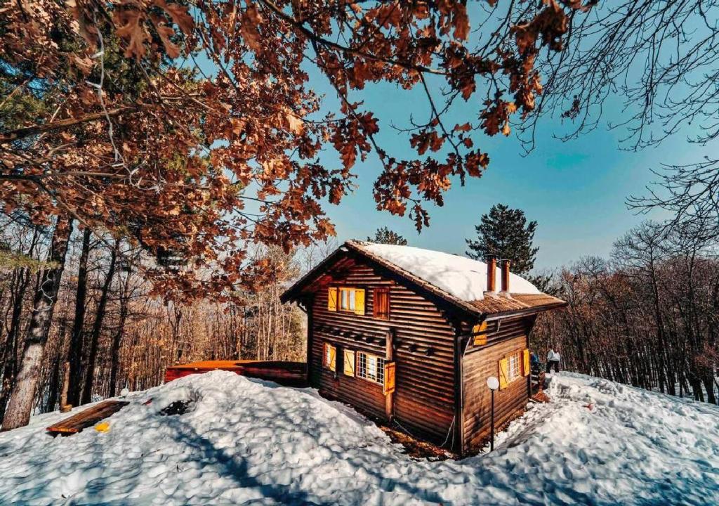 a small wooden cabin in the snow in the woods at Baita Nord in Linguaglossa