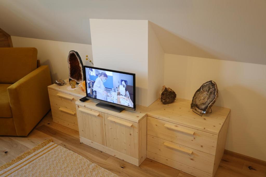 TV a/nebo společenská místnost v ubytování Szapary 1620