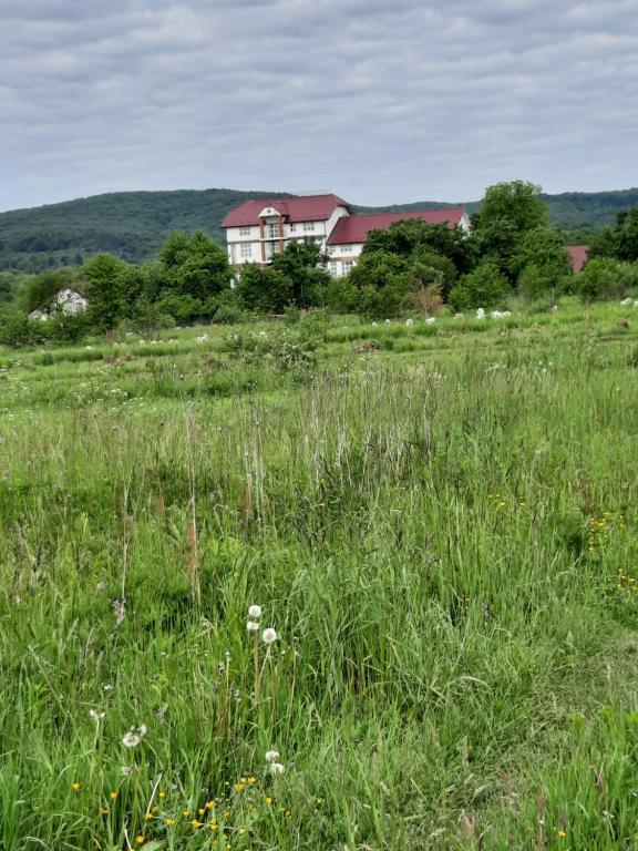 duże pole trawy z domem w tle w obiekcie Вілла Сади Єви w mieście Lyubintsy