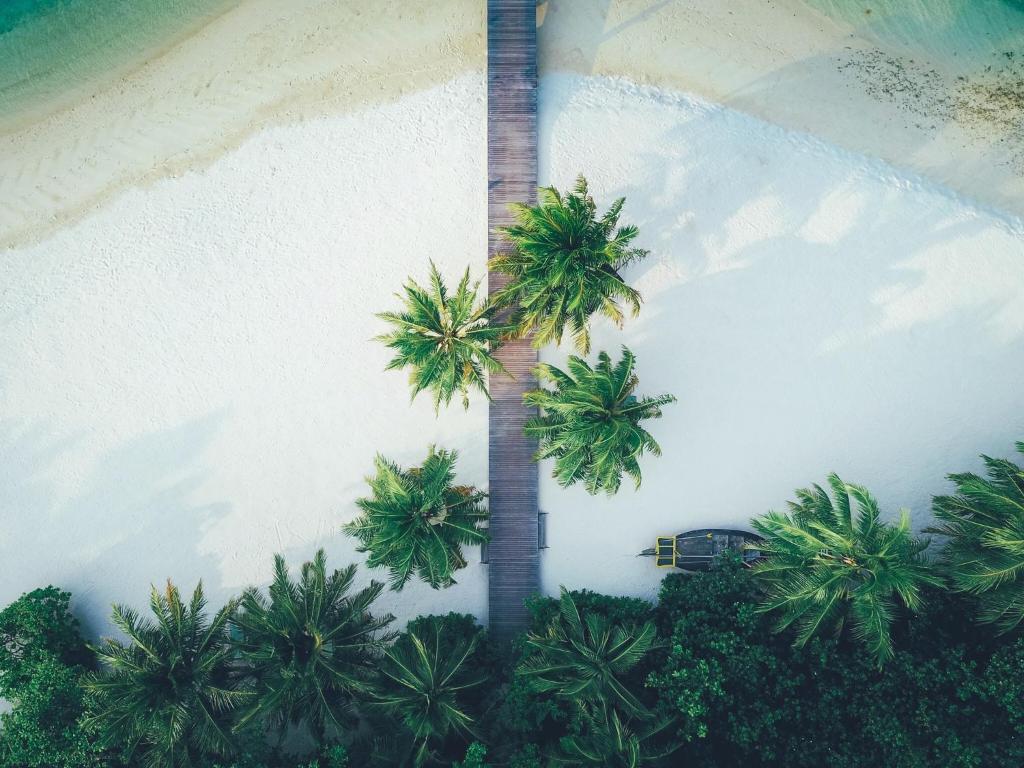 Zahrada ubytování Coco Bodu Hithi - 50 percent off shared roundtrip Speedboat for stays from 1 May to September 2025