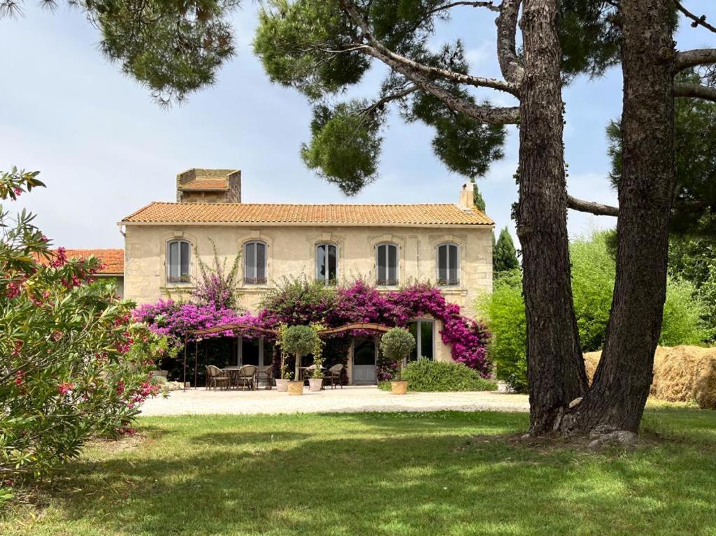 duży dom z fioletowymi kwiatami na dziedzińcu w obiekcie Maison Tara verte au Mas Montredon w mieście Arles