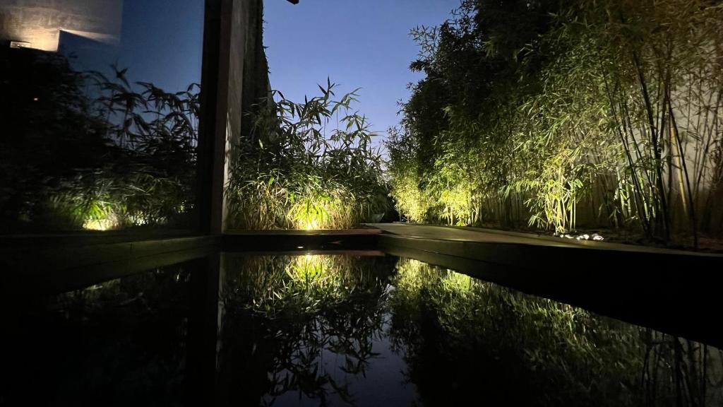 um jardim à noite com uma piscina de água em Murrae Loft em La Morra