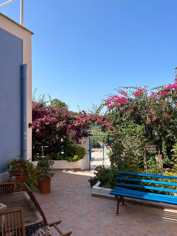 a blue bench sitting on a patio with pink flowers at Casa Talento in Ponza