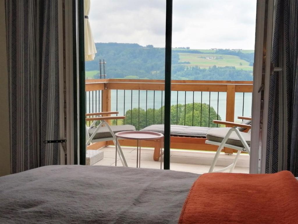 Příroda nedaleko aparthotelu