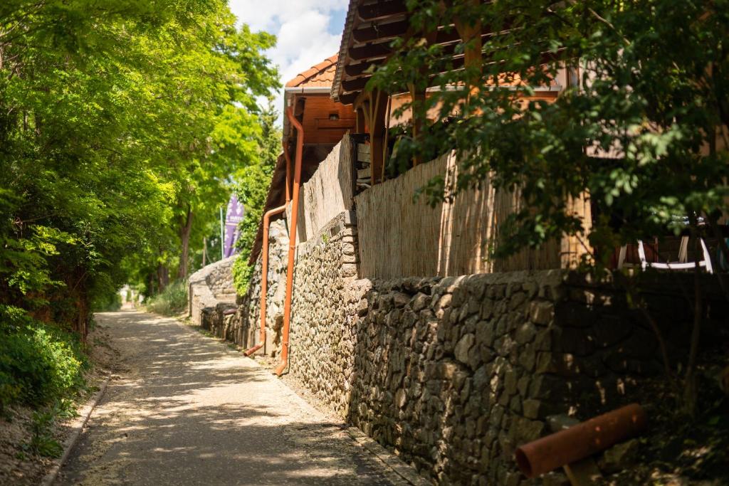 Fotografie z fotogalerie ubytování Penzion Nechorka v Prušánkách