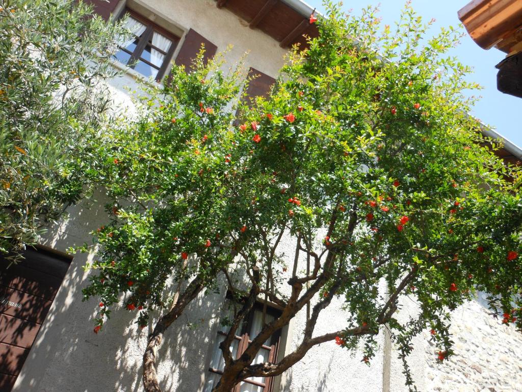Ogród w obiekcie Agriturismo Cassinazza