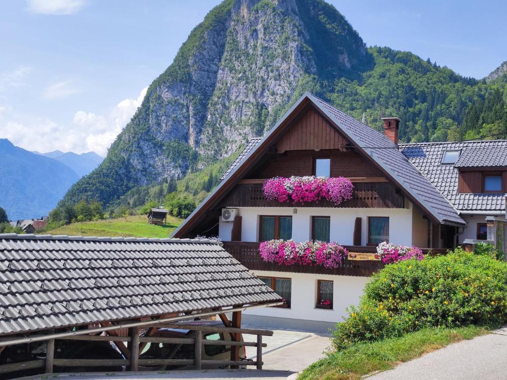 a house with flowers on the roof in front of a mountain at Apartmaji Mojca in Bohinj