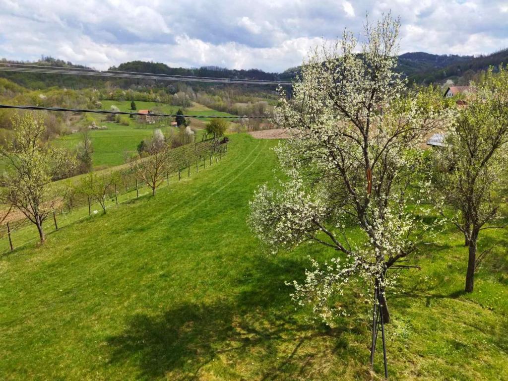 Priroda u blizini apartmana