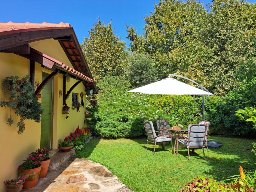 einen Tisch und Stühle mit Sonnenschirm im Hof in der Unterkunft Quinta de Carcavelos Agroturismo e Enoturismo in Celorico de Basto