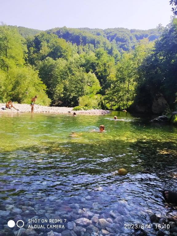 Priroda u blizini apartmana