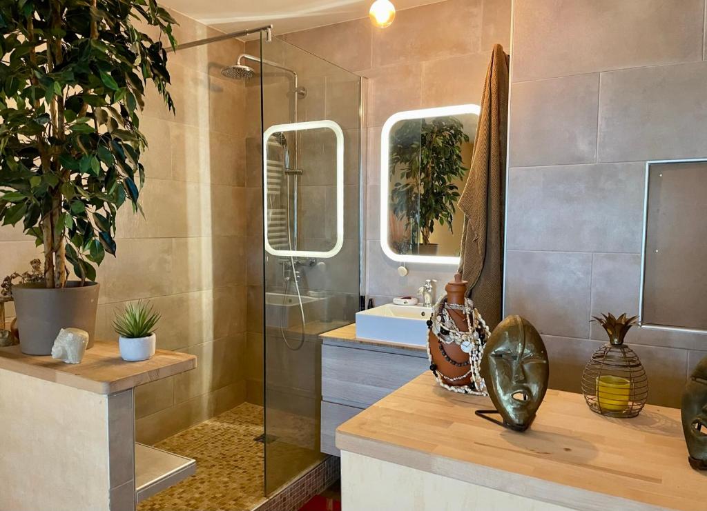 une salle de bain avec douche et lavabo dans l'établissement Duplex Paris & Parc des Princes, à Boulogne-Billancourt