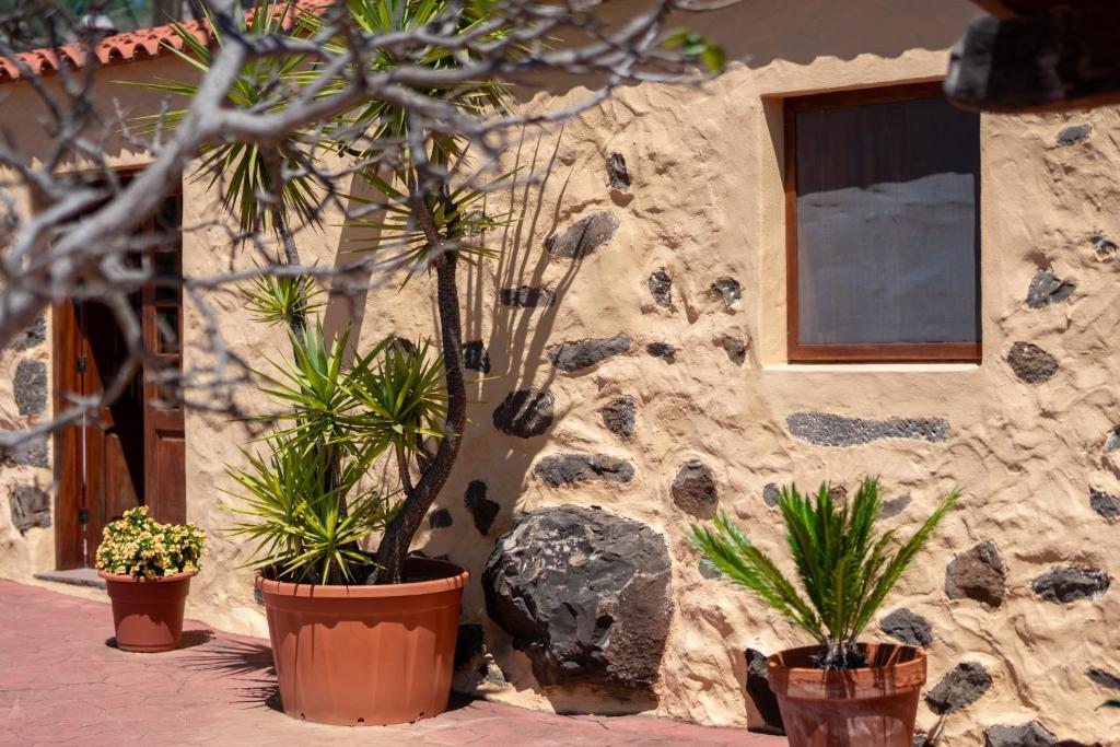 Kép Casa Rural Tinamar szállásáról Vega de San Mateóban a galériában