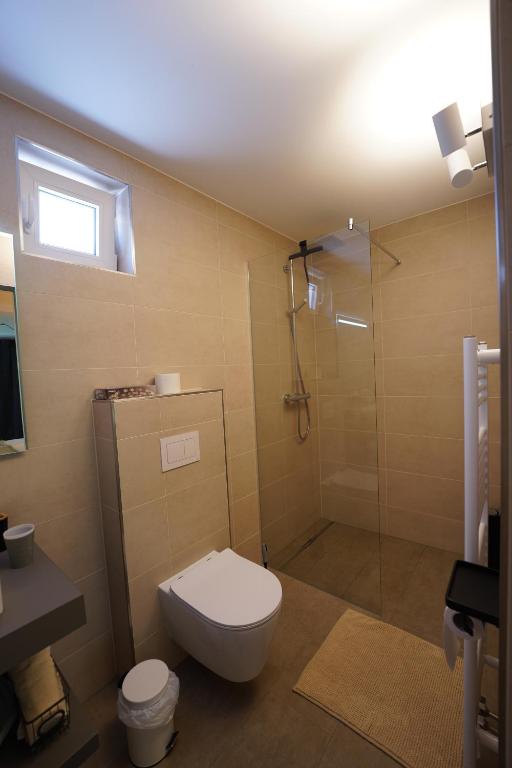 a bathroom with a toilet and a glass shower at B&B Alferweiher in Echternach