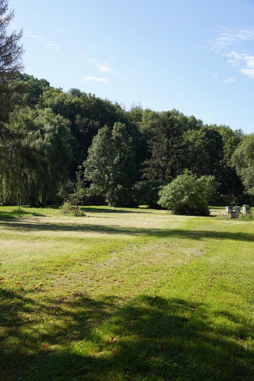 a field of grass with trees in the background at B&B Alferweiher in Echternach