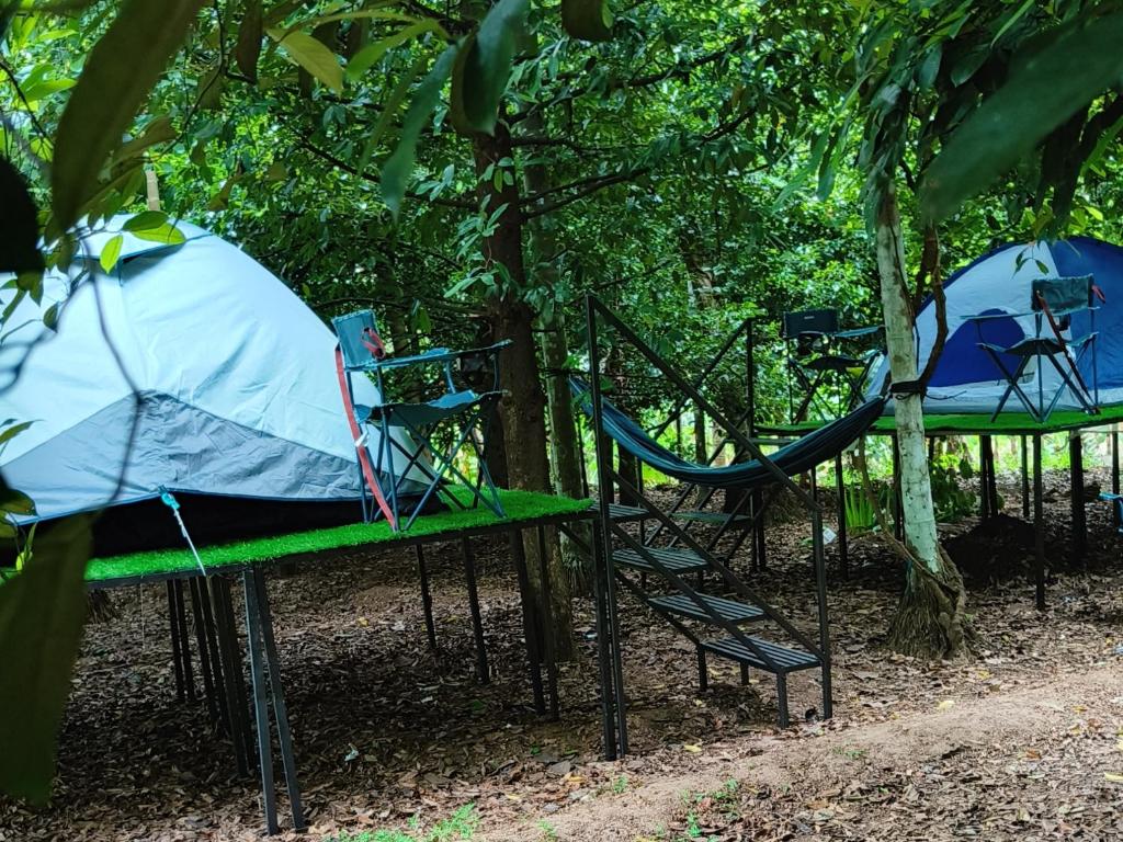 Dragster Tents, Kizhake Chālakudi – Updated 2023 Prices
