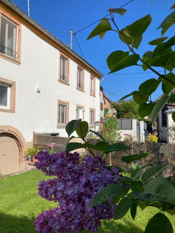 un jardin avec des fleurs violettes en face d'une maison dans l'établissement Gîte Le 1602, à Saint-Nabor