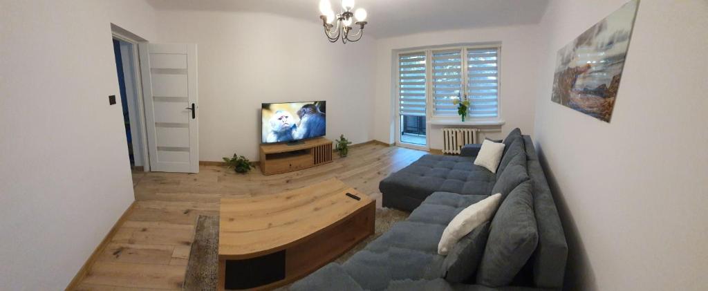 a living room with a couch and a tv at Comfort Apartament in Rzeszów