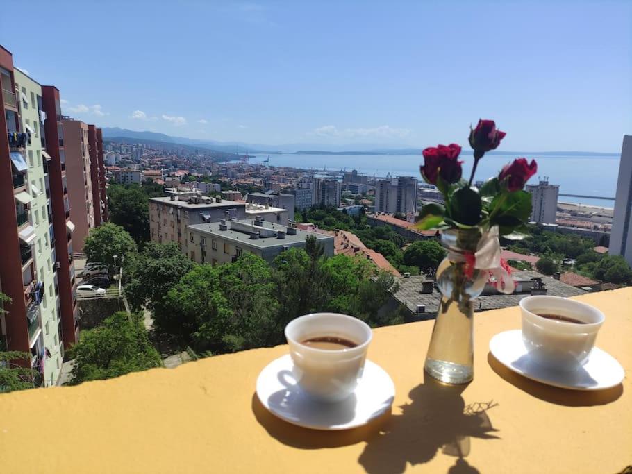 dwie filiżanki kawy i wazon z kwiatami na gzymsie w obiekcie Stan sa otvorenim pogledom na Kvarner w mieście Rijeka