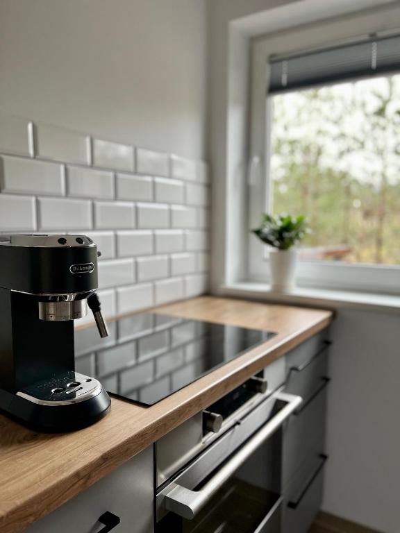 Kuchyňa alebo kuchynka v ubytovaní Apartamenty Lobeliowy Port
