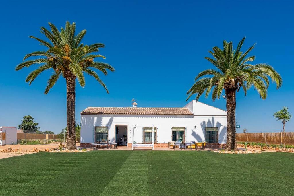 two palm trees in front of a white house at Casa Rural Olavide 