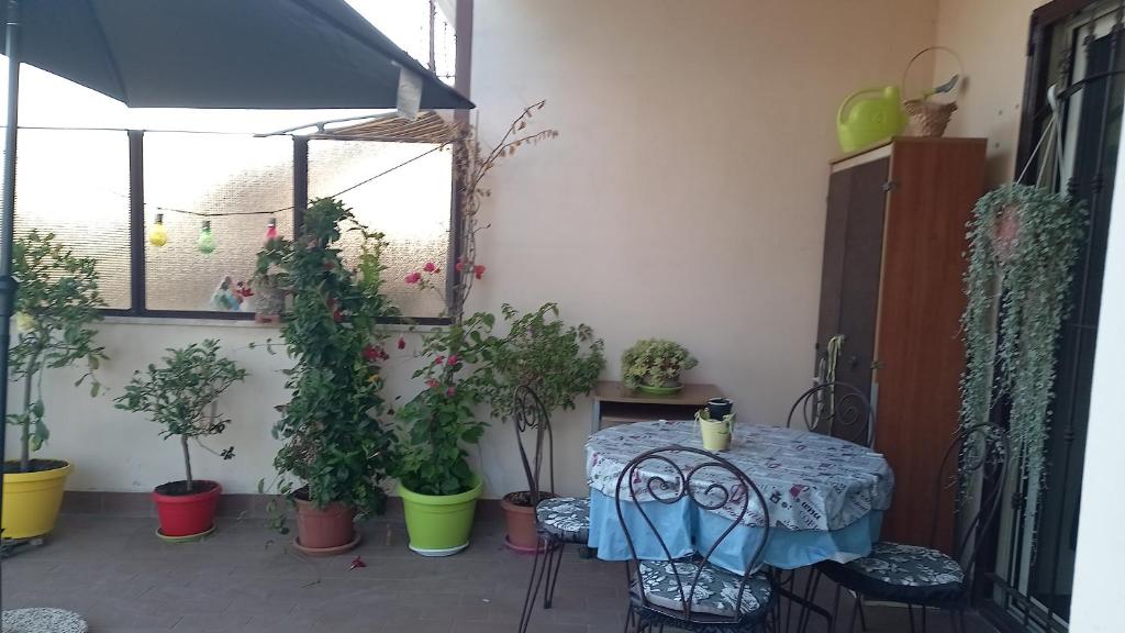 A garden outside A Santy's House 1piano-no lift-shuttle a pagamento-raggiungibile a piedi aeroporto-fermata bus fiera di roma a 3 minuti-air condiz ed extra bed FOR A FEE A PAGAMENTO
