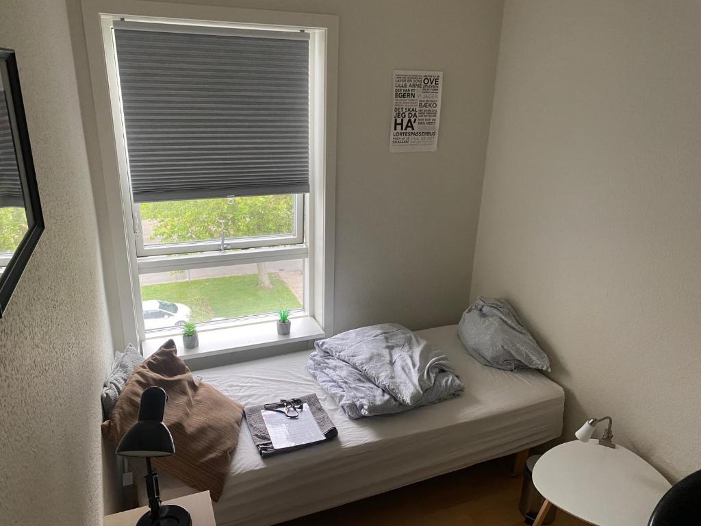 łóżko w pokoju z oknem w obiekcie Hyggeligt lille værelse w mieście Odense