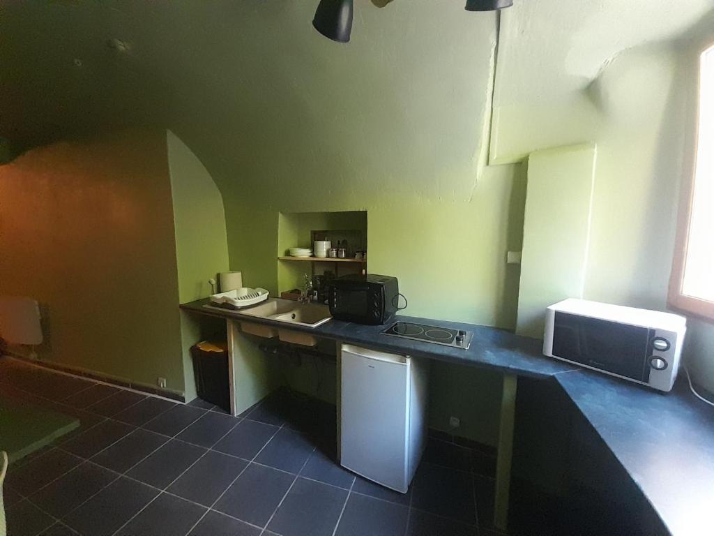 a kitchen with green walls and a counter top at Gîte Olivia in Saint-Florent-sur-Auzonnet