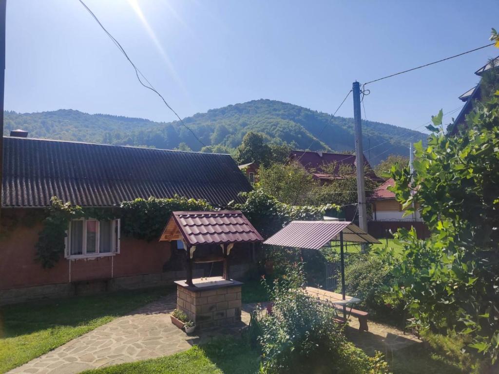 a house with a table and a bench in a yard at Borgaza in Yaremche