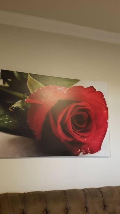 a red rose on a picture of a flower at Apartamento com 3 quartos! 7 camas no Centro in Lages