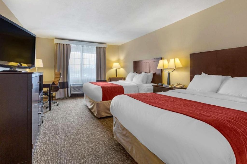Postel nebo postele na pokoji v ubytování Comfort Inn & Suites North Tucson Marana