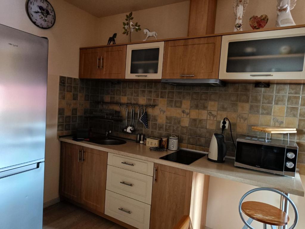 Kuchyň nebo kuchyňský kout v ubytování Pod Modrzewiami