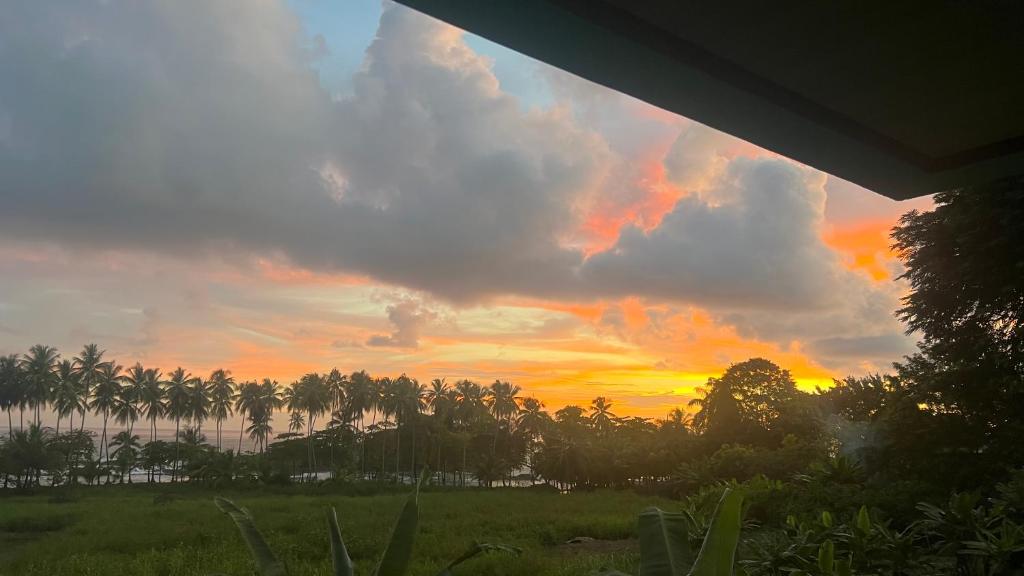 zachód słońca nad polem z palmami w tle w obiekcie Villa Kataleya w mieście Dominical
