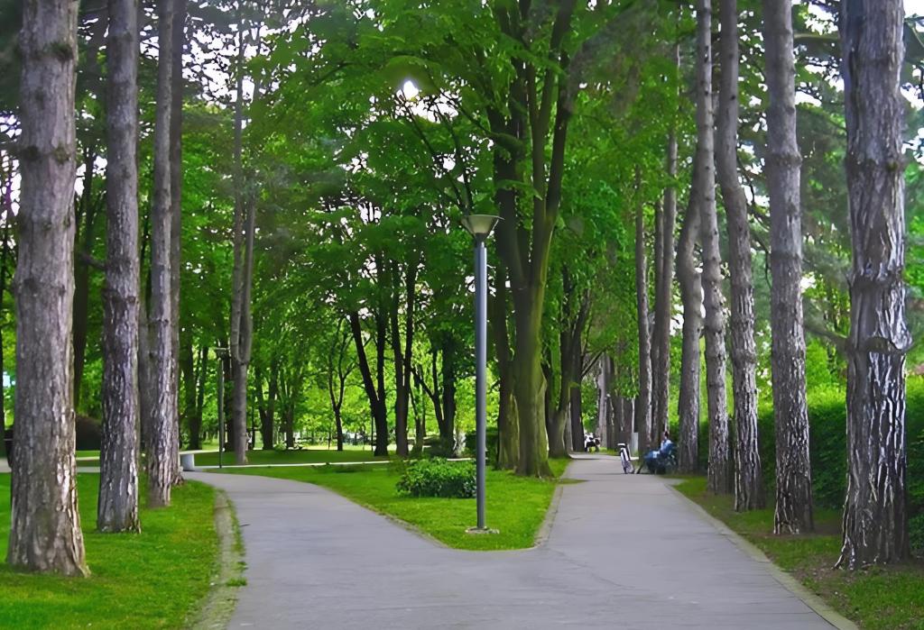 Fotografie z fotogalerie ubytování Central Park Apartment v destinaci Čačak