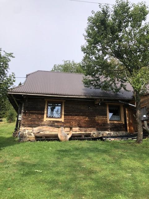 una casa di tronchi con un cane seduto di fronte di Stara chałpa oźna a Sól