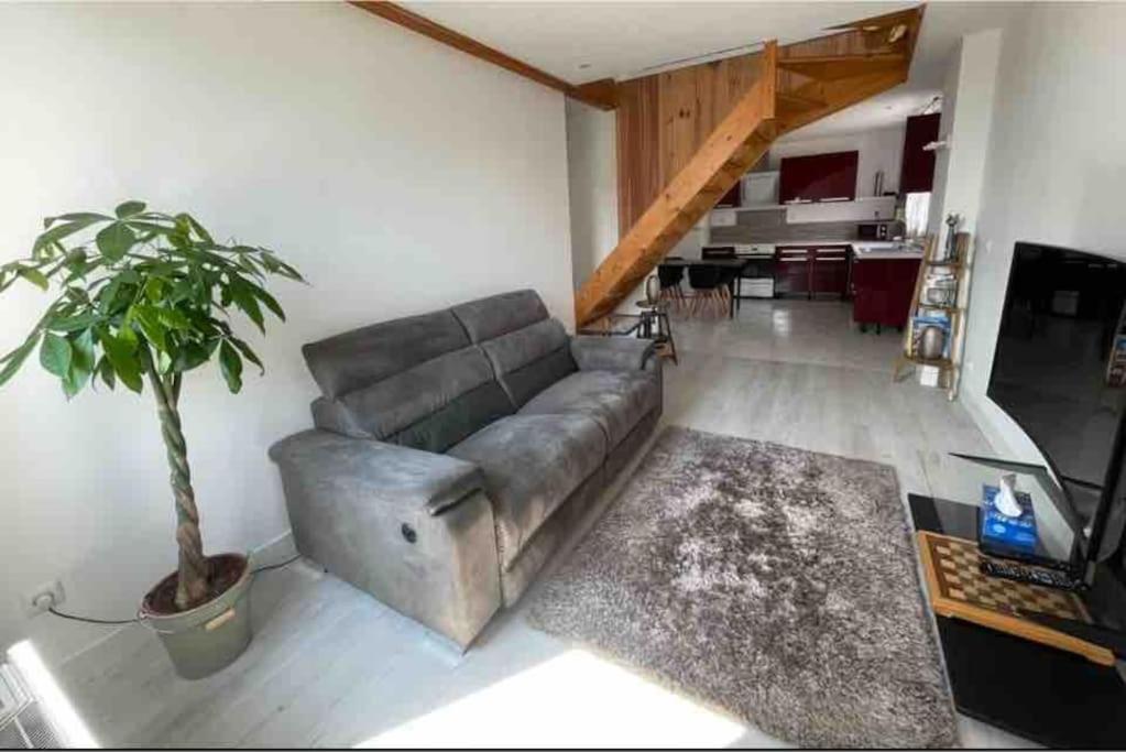 un salon avec un canapé et une plante en pot dans l'établissement Duplex 2 chambres 3 lits, à Villard-Bonnot