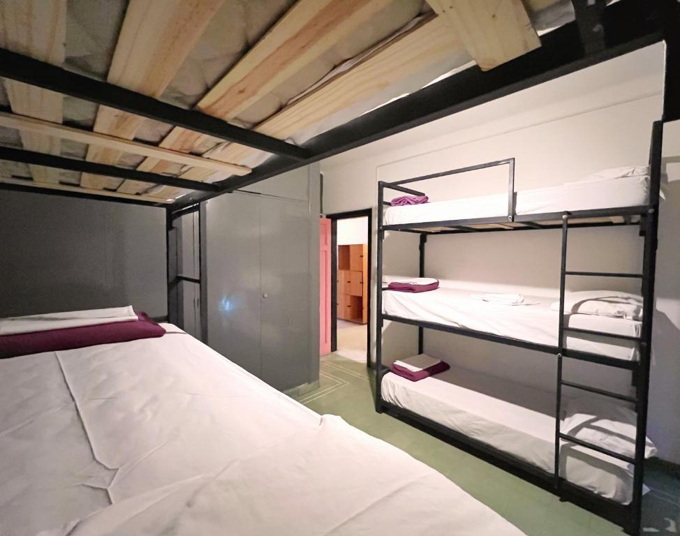 1 dormitorio con 2 literas y ventana en Lacandona Hostel en Córdoba