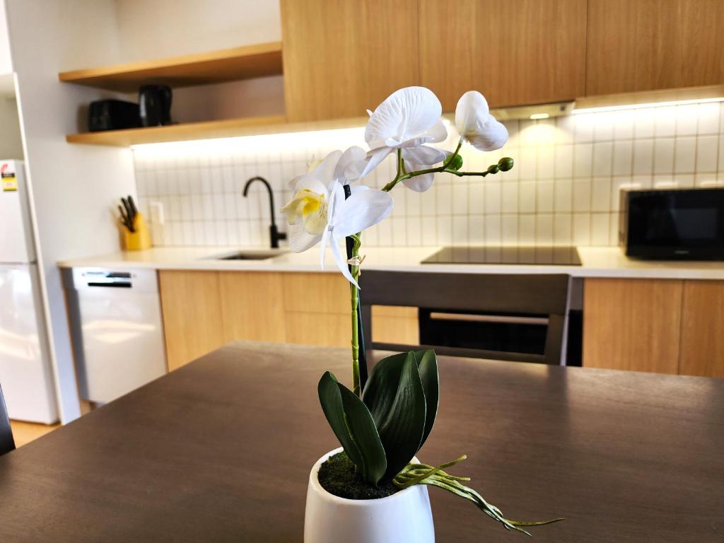 Kuchyň nebo kuchyňský kout v ubytování U Suites on Trieste Way