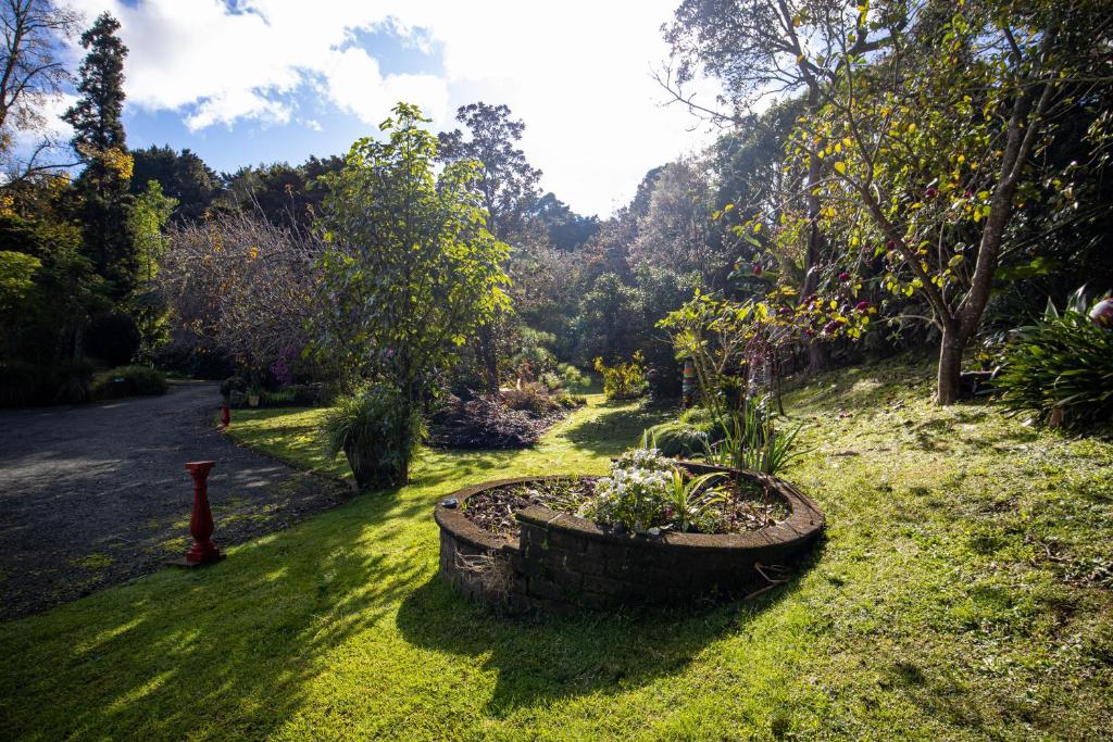 Waimoana Garden Accommodation - Resim 24