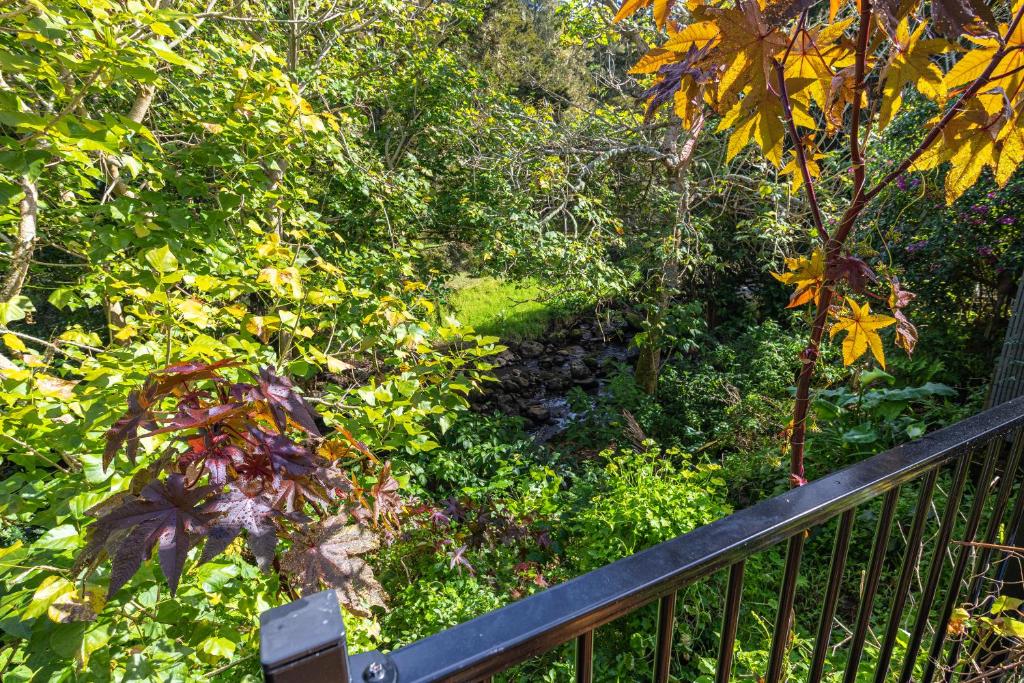 Waimoana Garden Accommodation - Resim 25